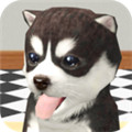 狗狗模拟器 v1.0.2