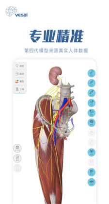 解剖大师app手机版下载安装