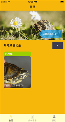 养龟一记app下载平苹果版下载