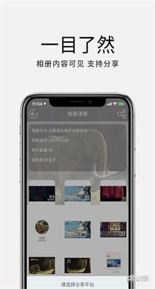 妙盒子app下载客户端v1.2.4