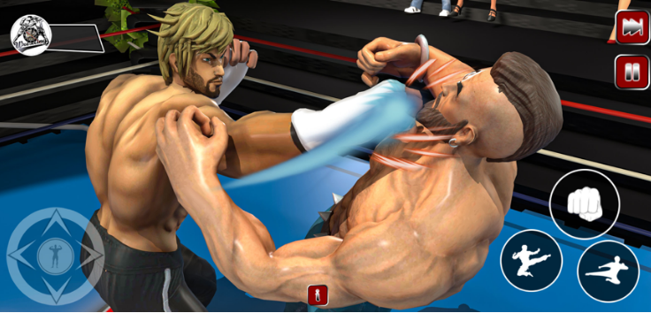 摔跤专业格斗游戏 3D图片