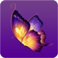 成版年蝴蝶视频app免费 v0.6.3