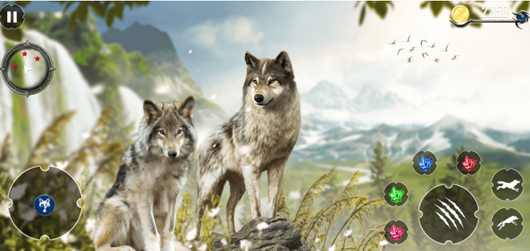 野狼 3d 动物模拟器图片