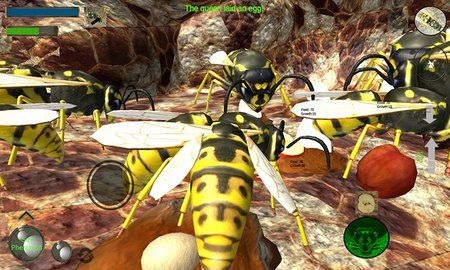 大黄蜂进化史