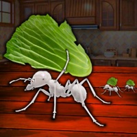 空闲厨房蚂蚁模拟器 v2.52